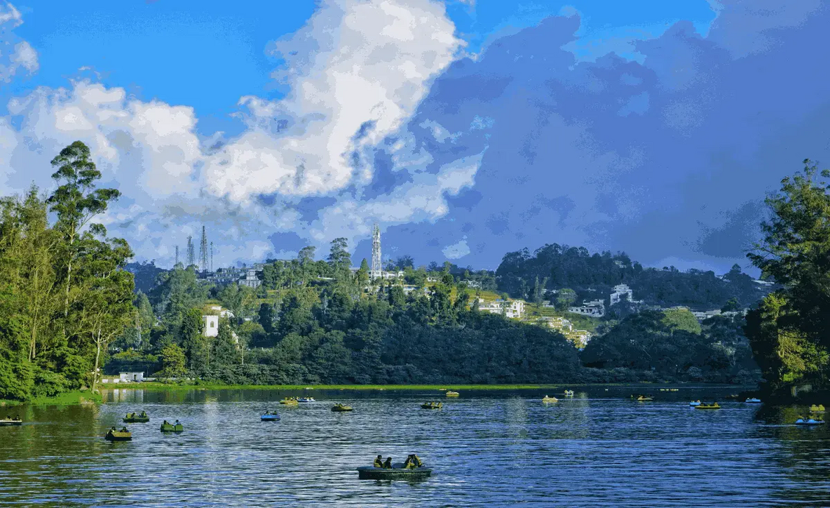 Bangalore Mysore Ooty Coorg tour package price, Ooty and Coorg packages, coorg mysore ooty package,